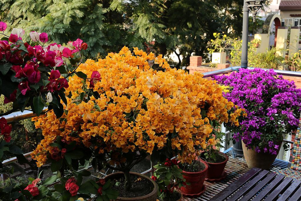 Shangrila Boutique Hotel Kathmandu Luaran gambar